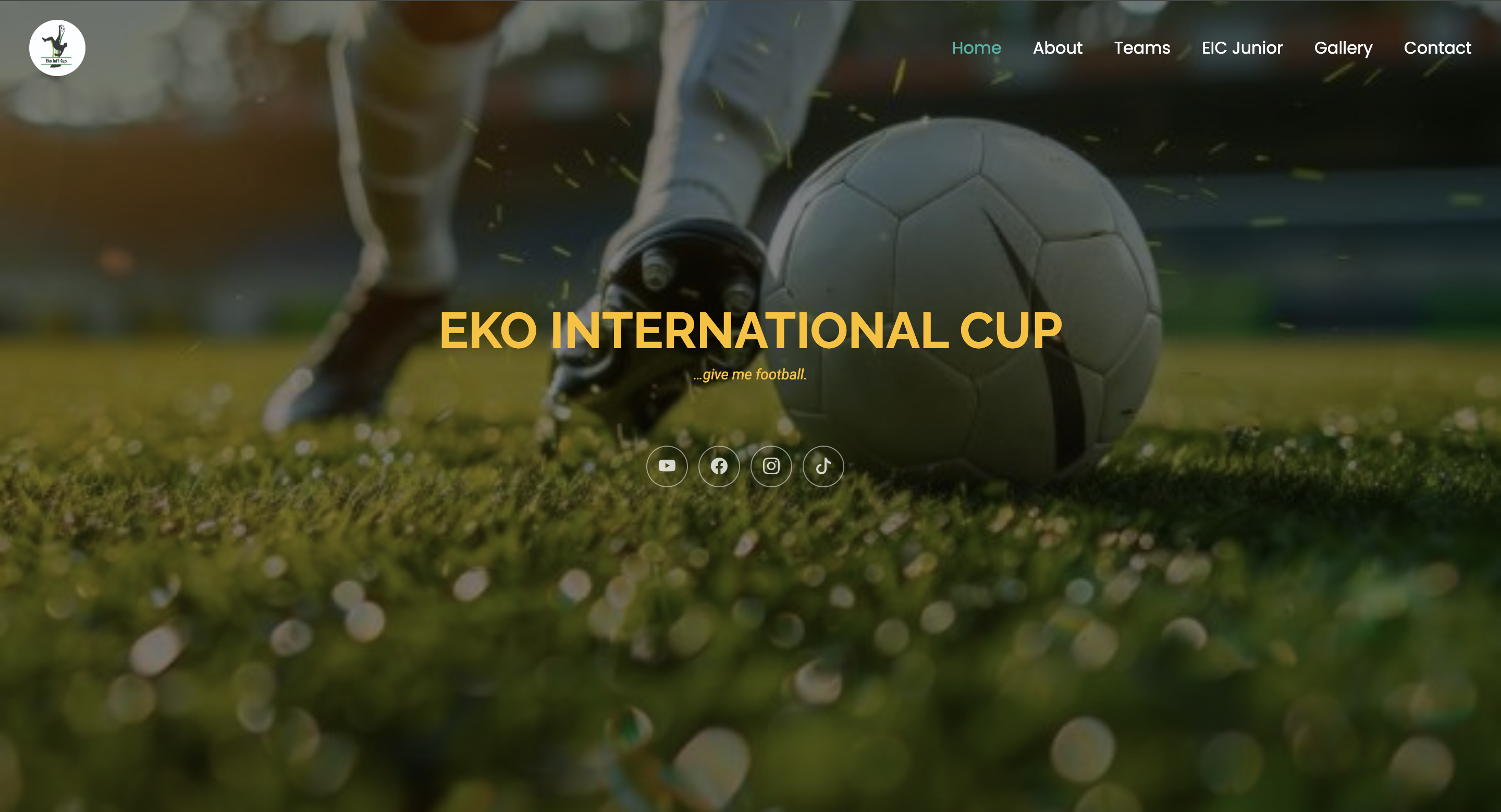 Project 3 Screenshot